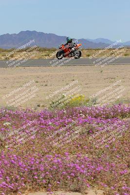 media/Mar-12-2023-SoCal Trackdays (Sun) [[d4c8249724]]/Turn 15 Inside Bloom (130pm)/